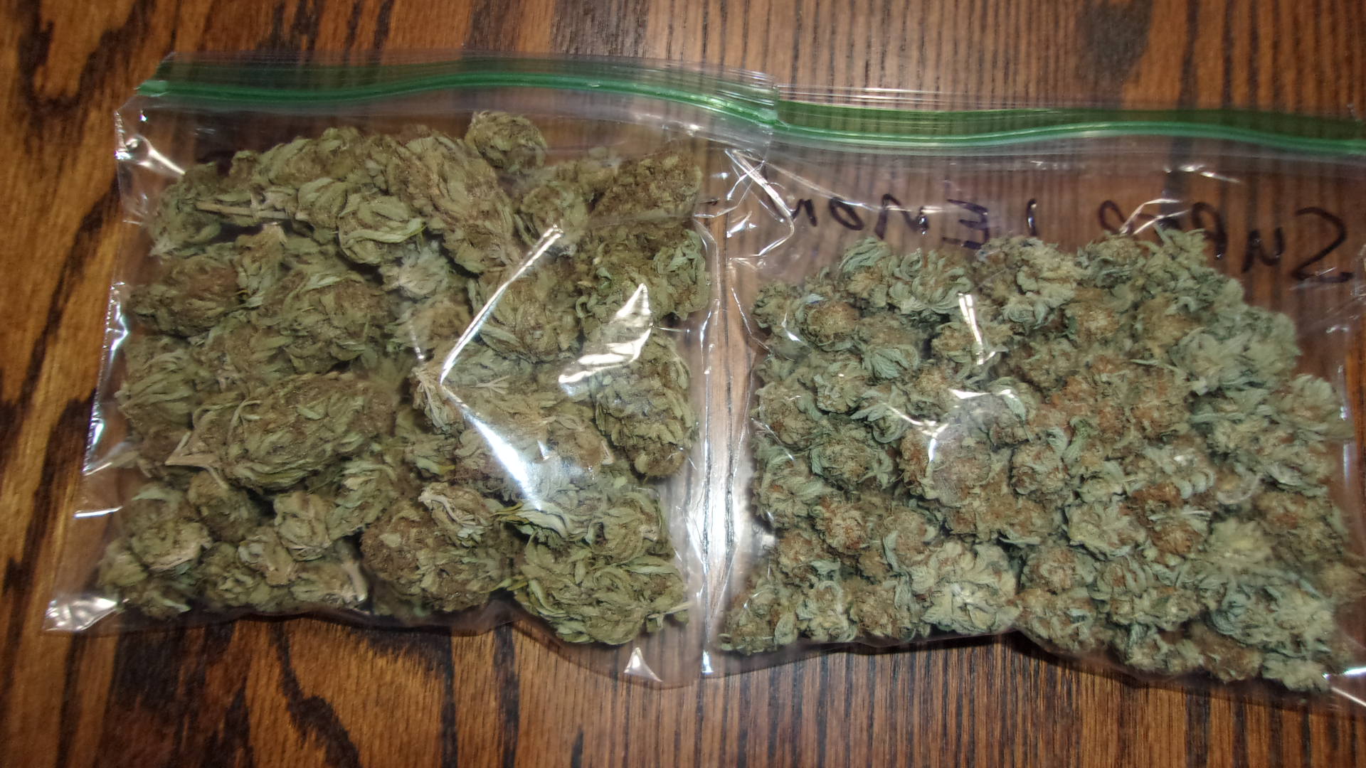 1 o of Northern lights and 1 o of Super Lemon Haze.JPG