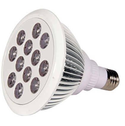 12w bulb.png