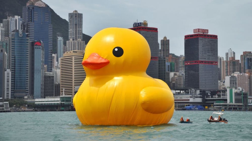 130502152627-rubber-duck-in-hong-kong-1.jpg