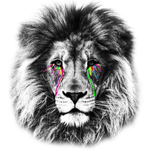 1452221457-lion-tears.png.jpg