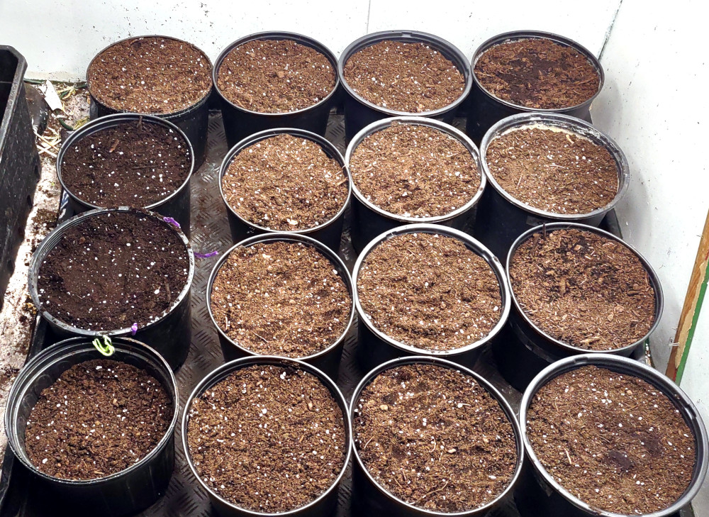 16 pot grow pic1 -4-25-2022.jpg