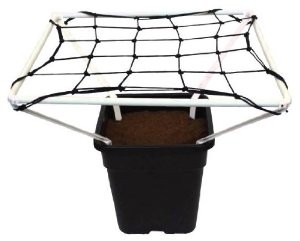 1960-2543-scrog-line-pro-1-0.jpg