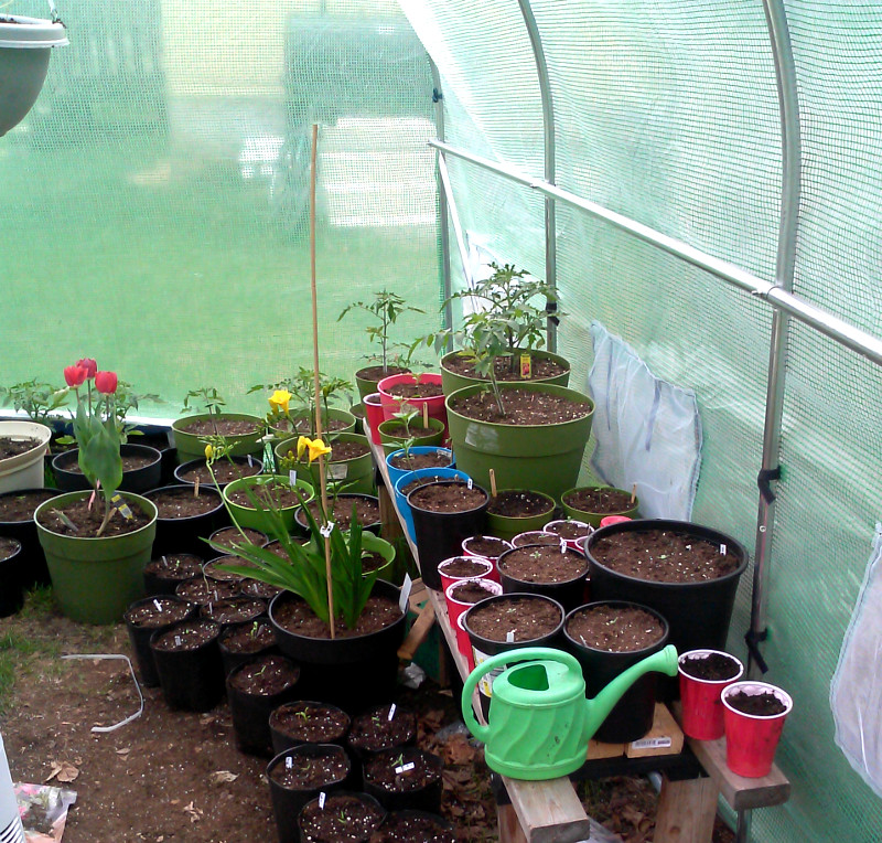 2015 greenhouse-1.jpg