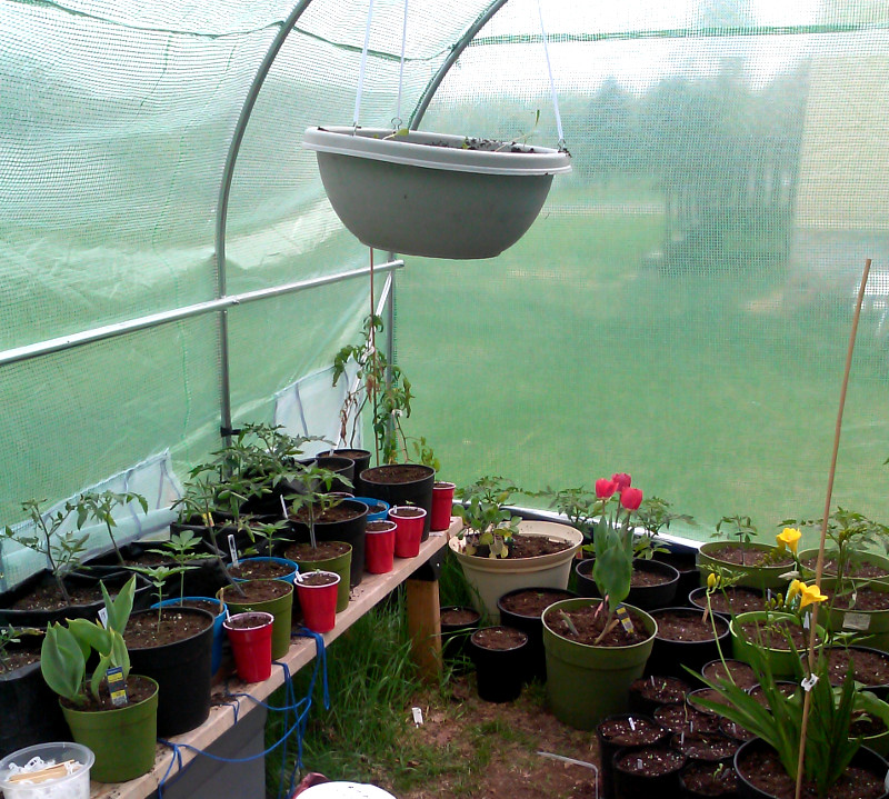 2015 greenhouse-2.jpg