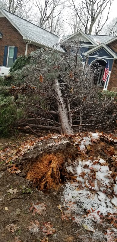 20181209_Ice Storm2.jpg