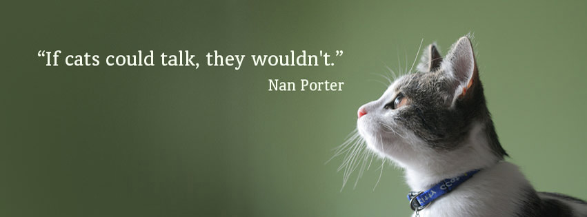 207-nan-porter-if-cats-could-talk-they-wouldn-t.jpg