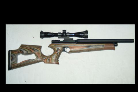 2240 custom with scope-small.jpg