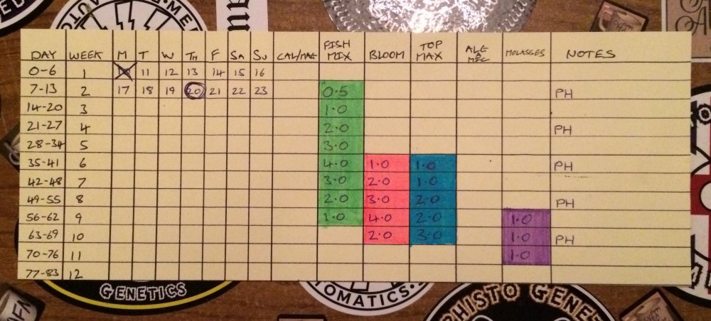 3 part with mollasses feed schedule.JPG