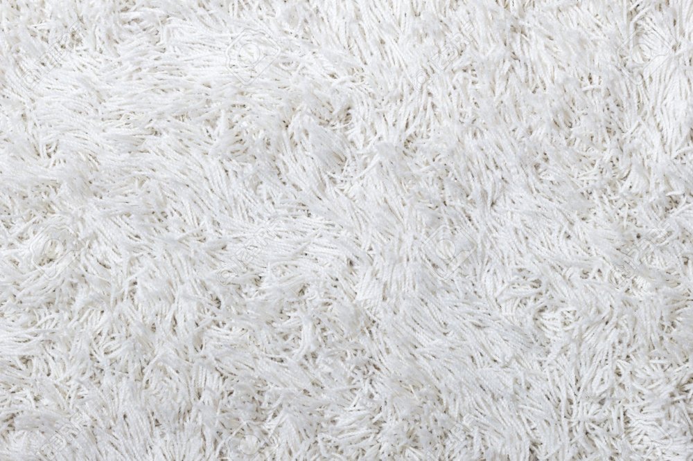 37405691-Closeup-of-a-white-shaggy-carpet-texture-Stock-Photo.jpg