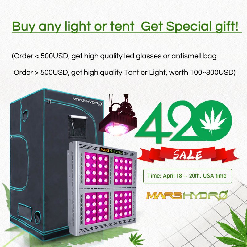 420 promotion.jpg