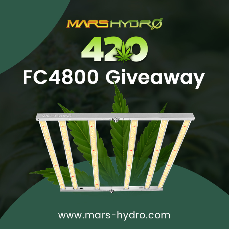 420giveaway.jpg