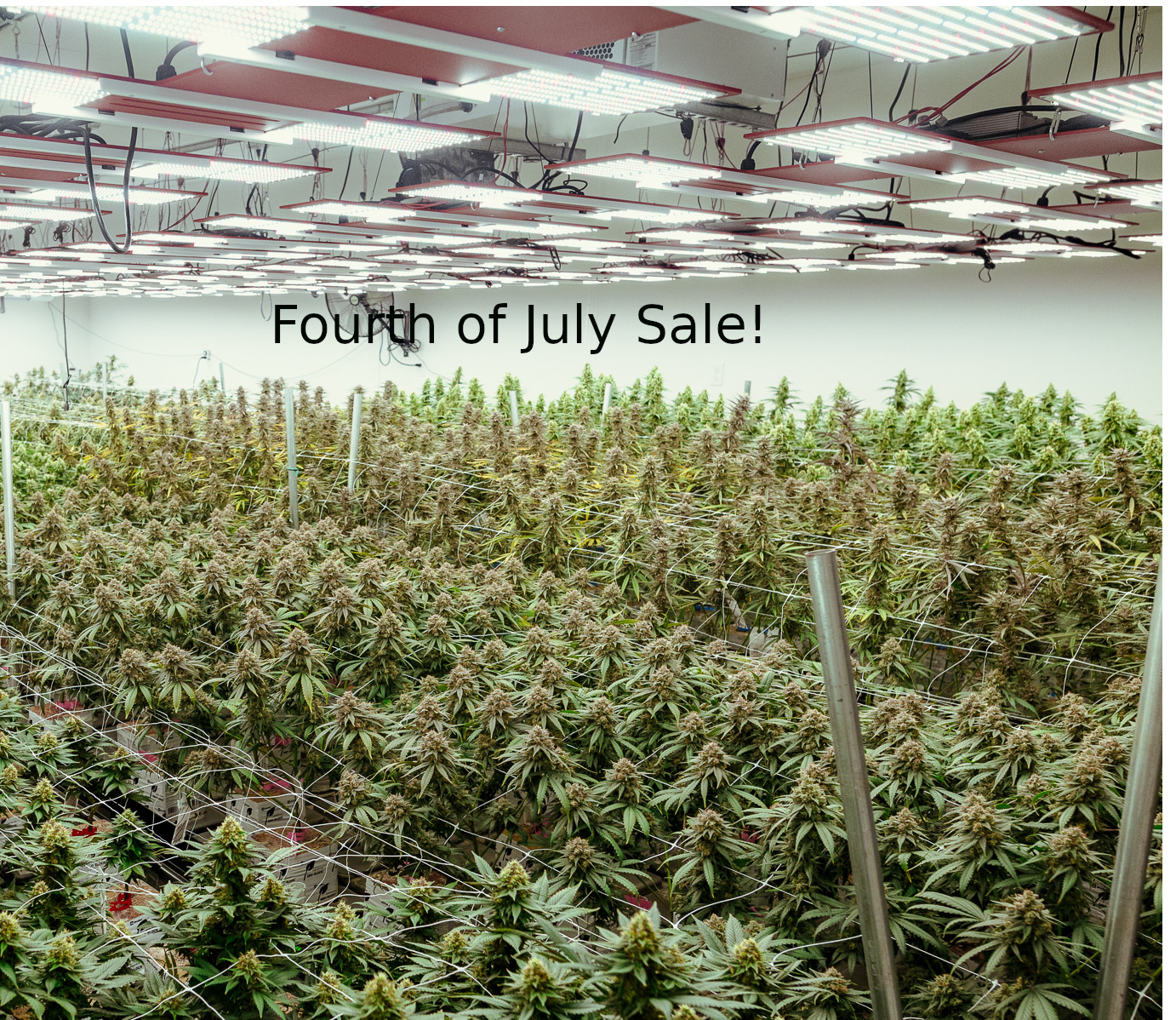 4th sale -HLG.jpg