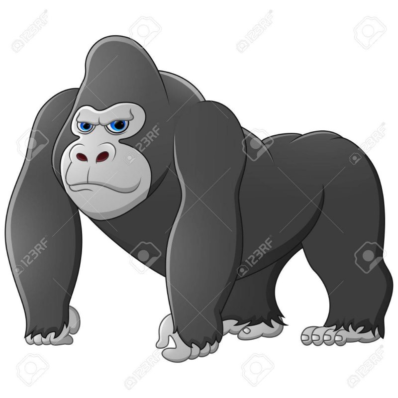 52008055-happy-gorilla-cartoon.jpg