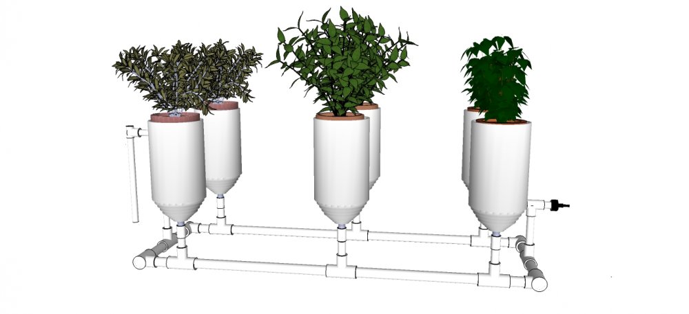 6 plant system with plants.jpg