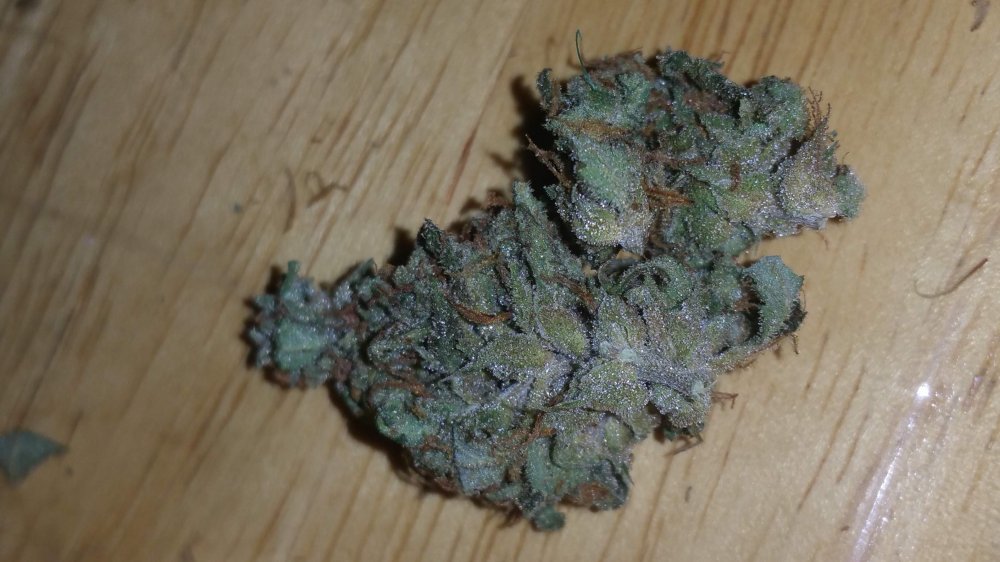 69018_fastbuds-bdm-new-unreleased-strain_fastbuds_bdm.jpg