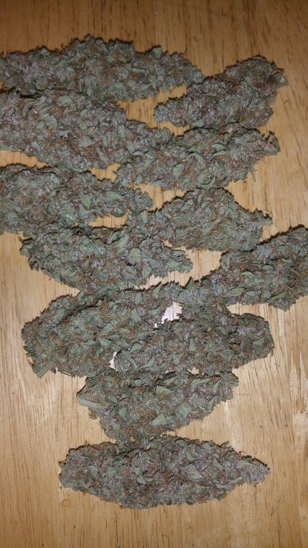 69022_fastbuds-bdm-new-unreleased-strain_fastbuds_bdm.jpg