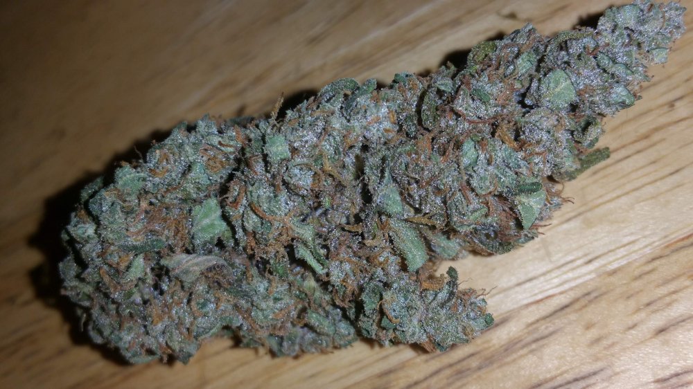 69023_fastbuds-bdm-new-unreleased-strain_fastbuds_bdm.jpg