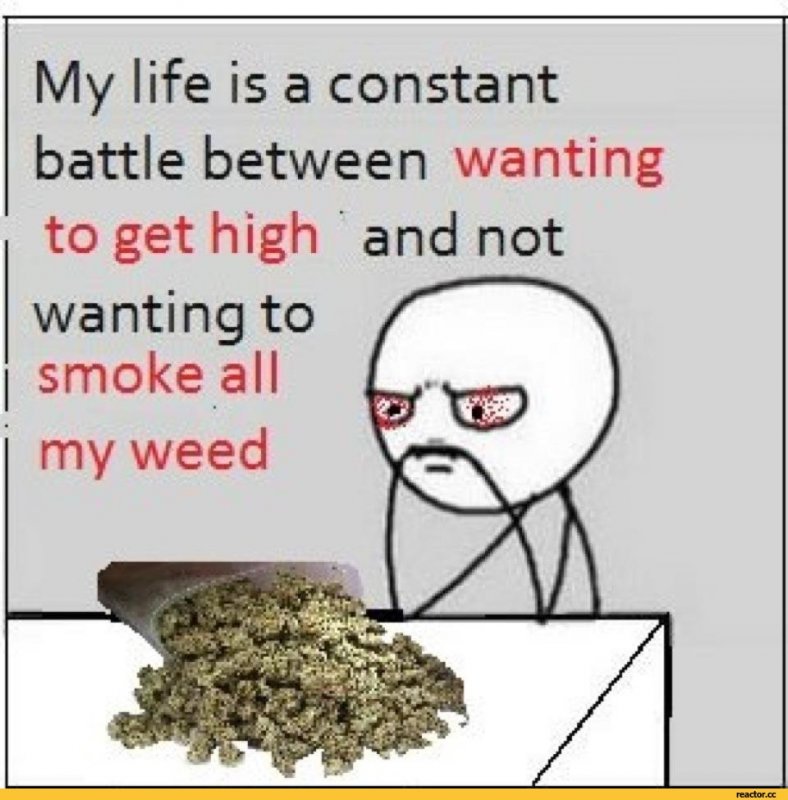 ___ and notwanting tosmoke all_ my weed,funny pictures,stoner-humor,auto.jpg