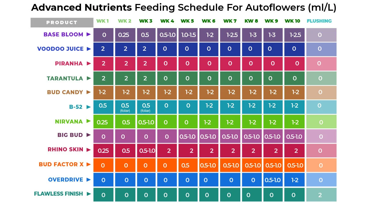 AF Feeding01.png