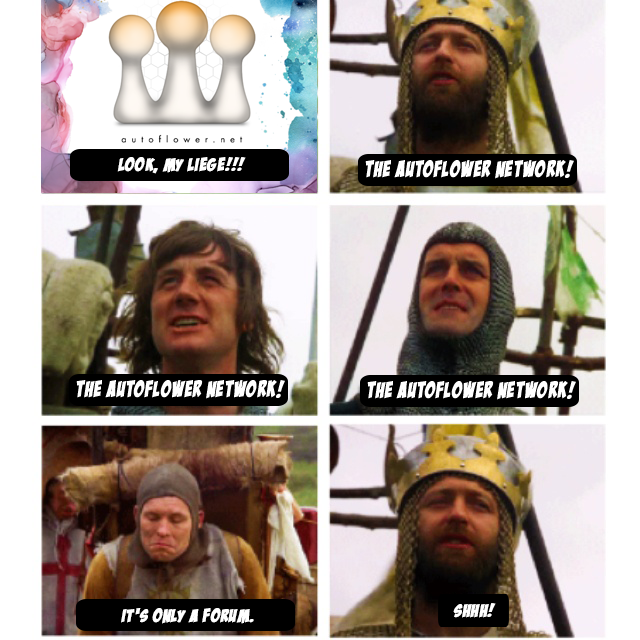 afnmontypython.png