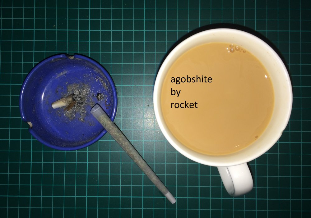 agobshite by rocket.JPG