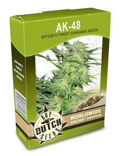 ak48-cannabis-seeds.jpg