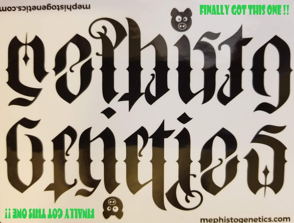 ambigram.jpg