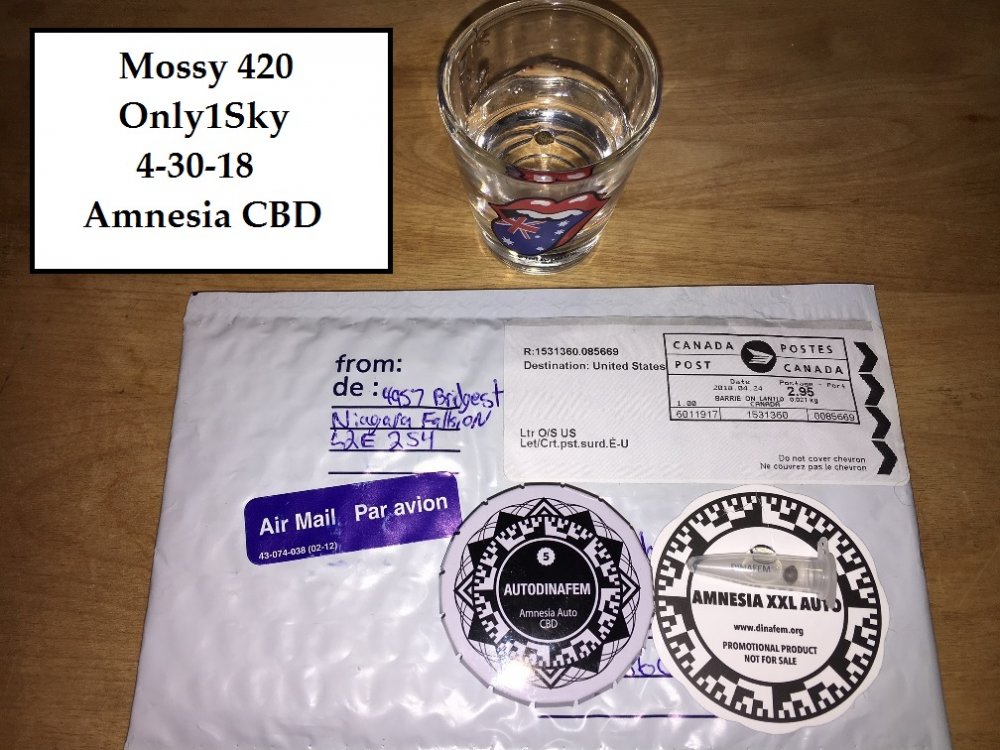 Amnesia CBD drop.jpg