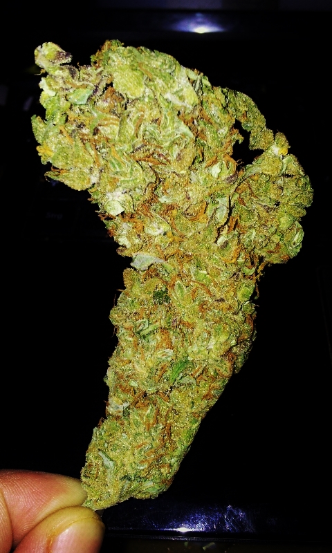 Amnesia Haze Core Cut .jpg