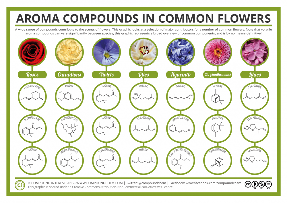 Aroma-Chemistry-Scents-of-Flowers.png