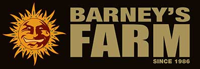 barneys-farm-1.jpg