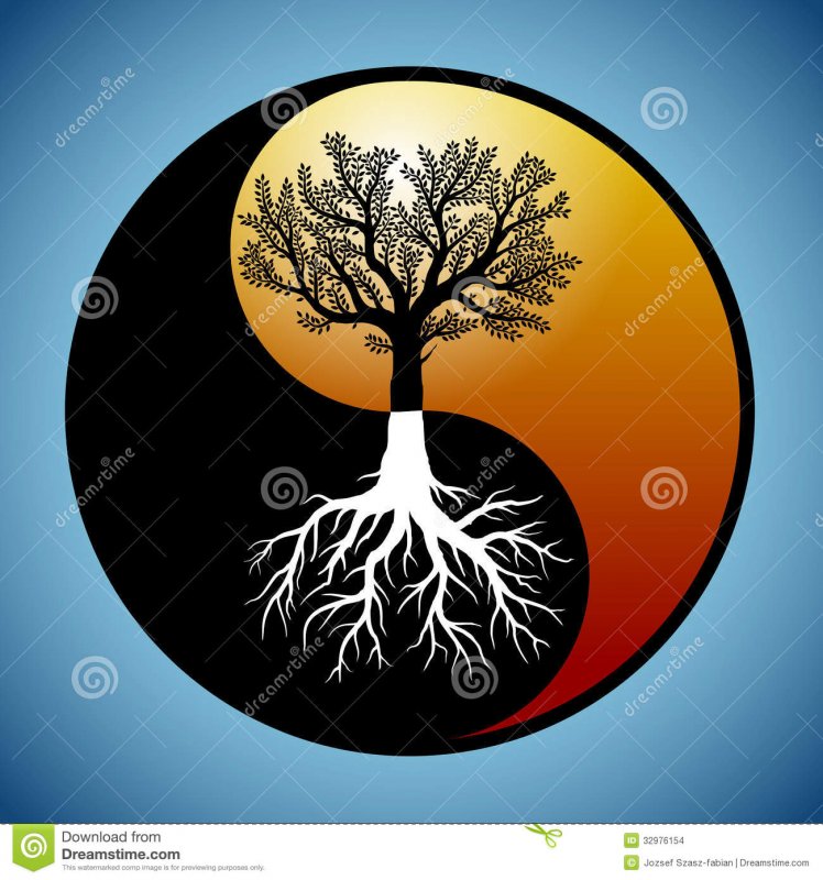 baum-und-seine-wurzeln-yin-yang-symbol-32976154.jpg