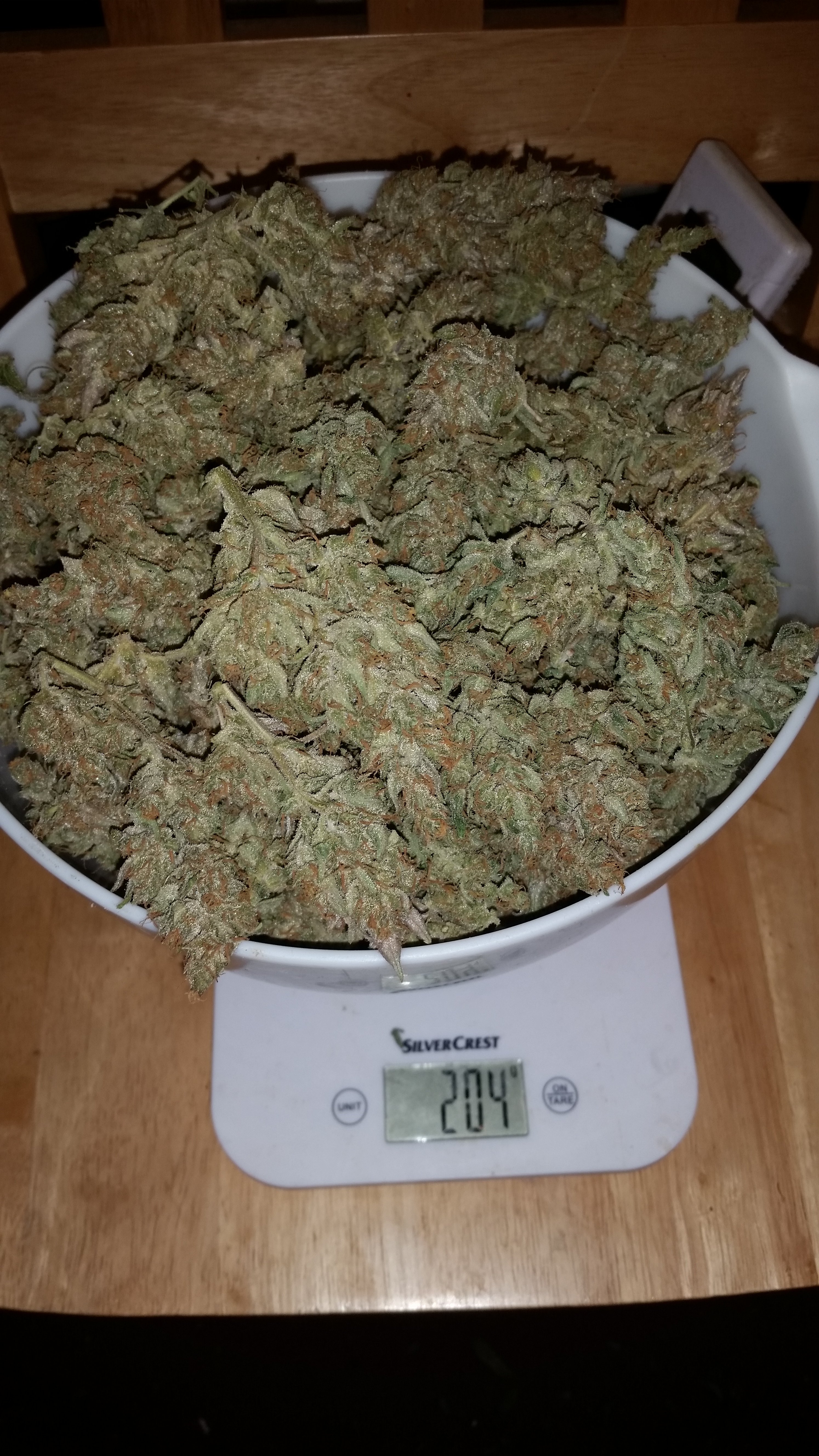 BCN_CRITICAL_XXL_YIELD.jpg