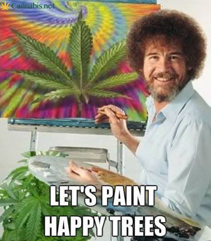 bd1d25c6624ac95a53c599e54c320dfe--bob-ross-paintings-funny-cute.jpg