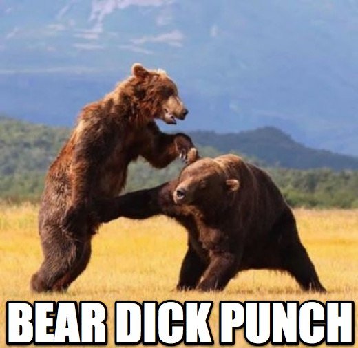 bear1.jpg