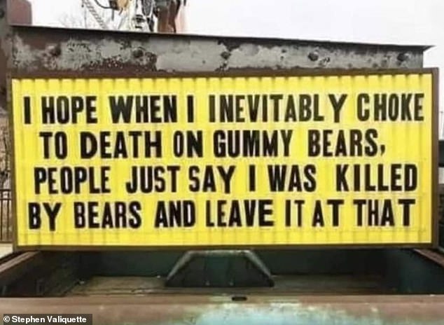 bears.jpg