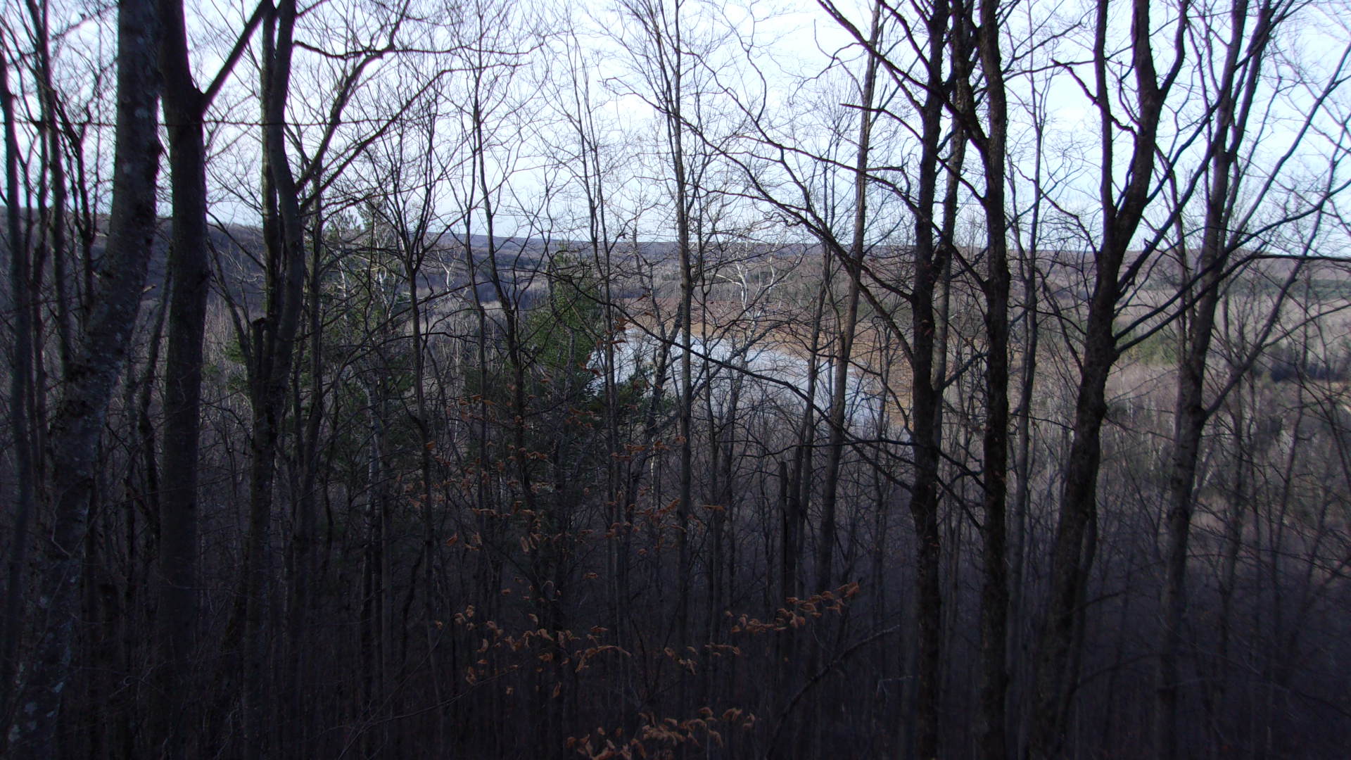 Beaver pond.JPG