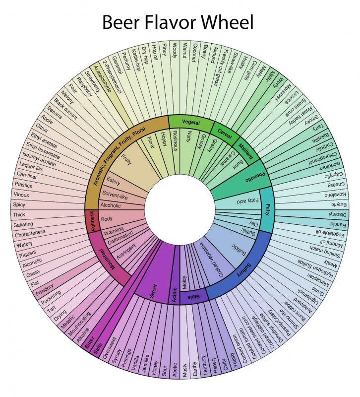 Beer-Flavor-Wheel.jpg