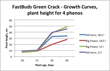 Big vs AN Sensi, height.jpg