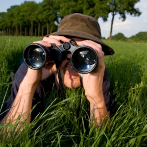 binoculars-search-square.jpg