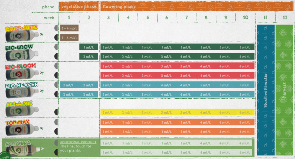 Bio Bizz schedule.png