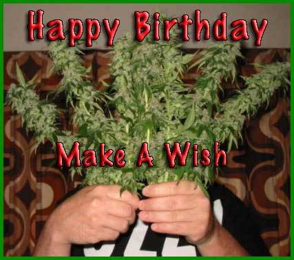 birthday weed.jpg