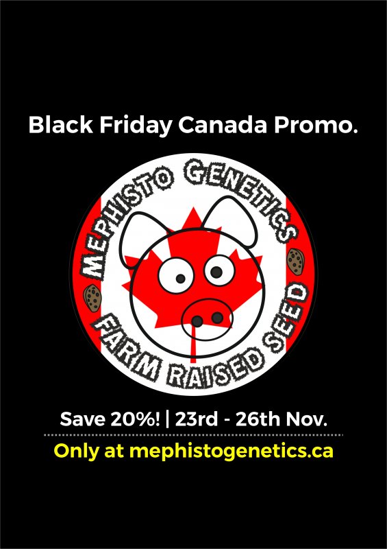 Black friday 2018 promo CANADA v2 1 - insta.jpg