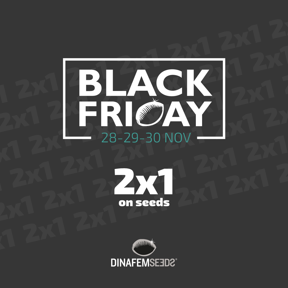 black-friday-DNF-2019-FB-EN.jpg