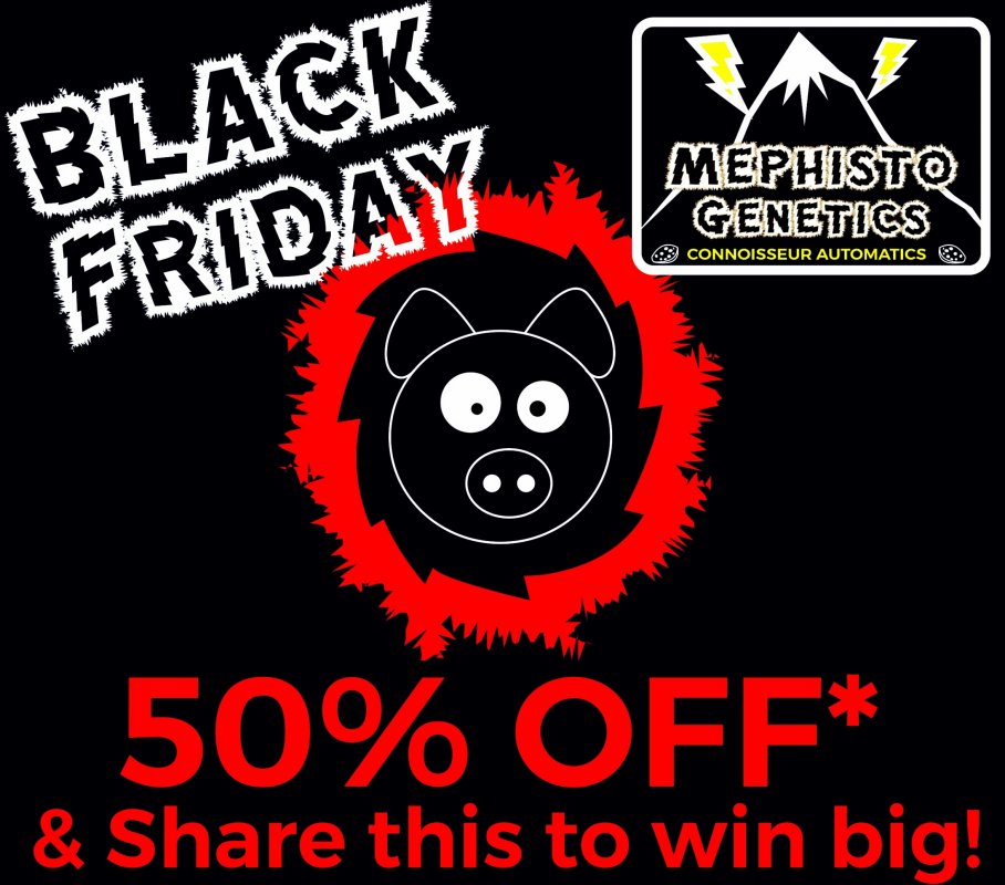 black-friday-graphic-1-1-jpg.506143