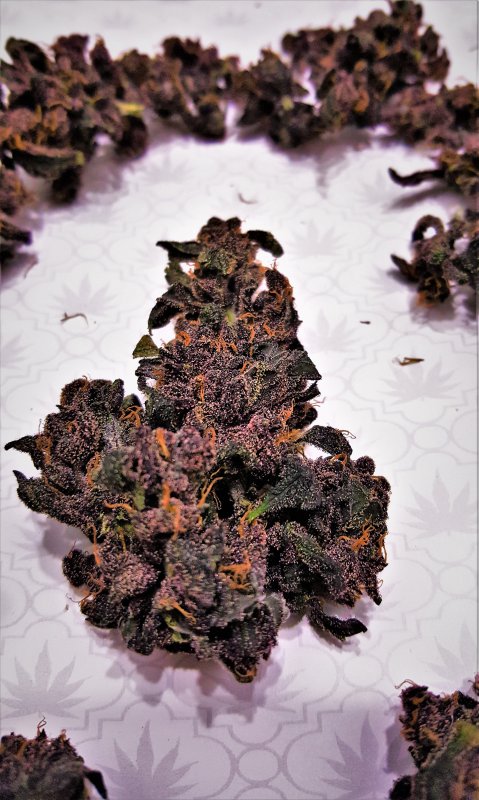 Blackberry Kush 1-2.jpg