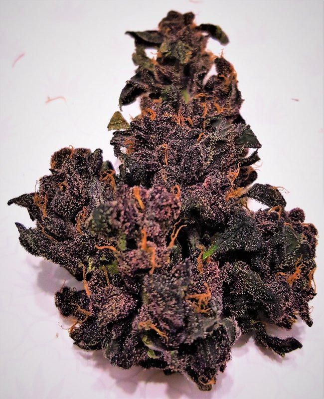 Blackberry Kush 1.jpg