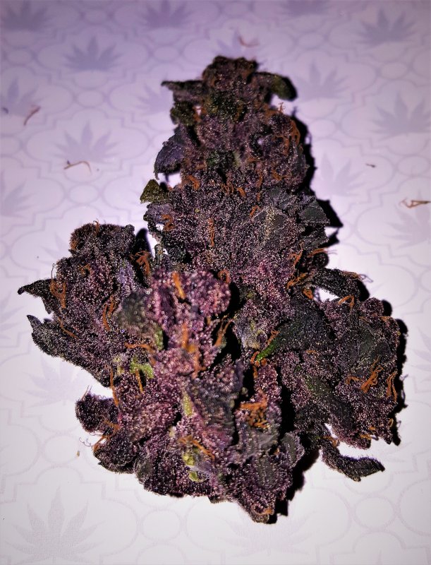 Blackberry Kush 2.jpg