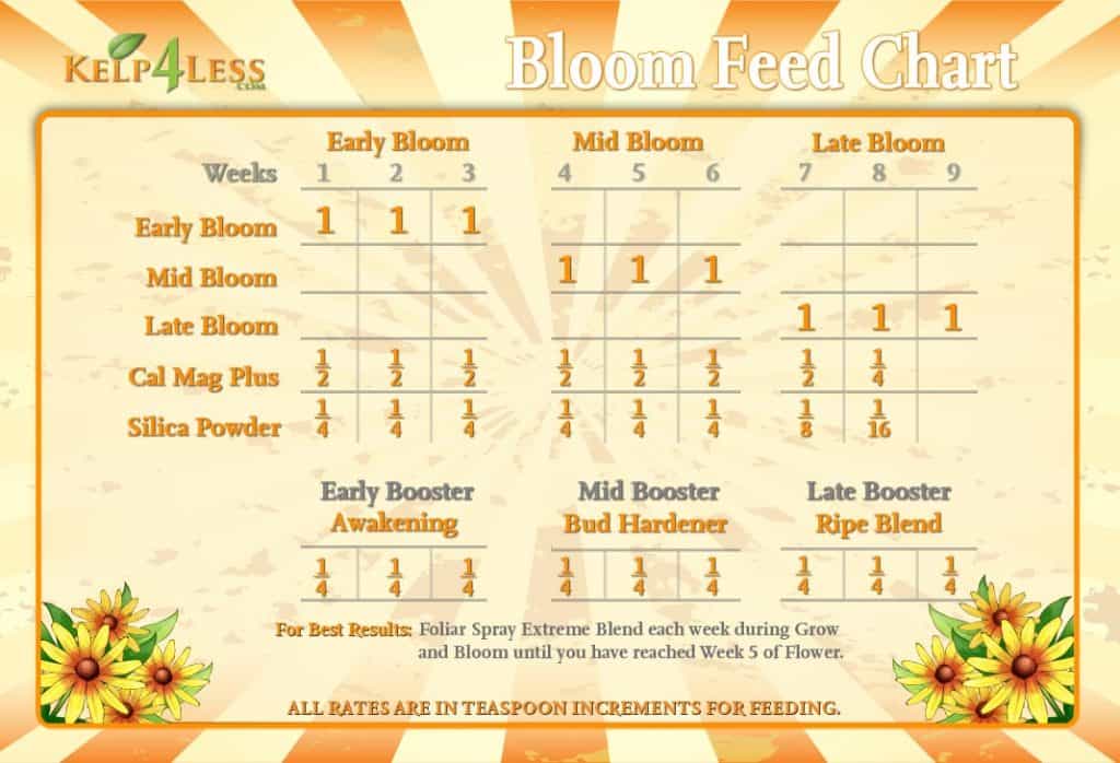 Bloom-Feed-Chart-2015-Final-print-1024x698.jpg