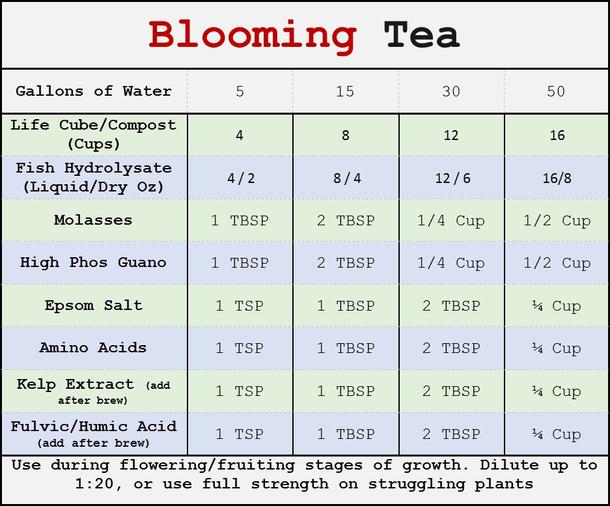 bloom tea.jpg